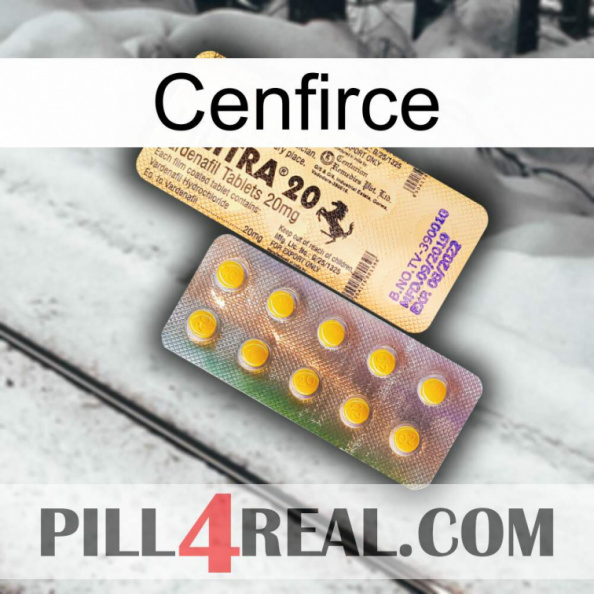 Cenfirce new06.jpg